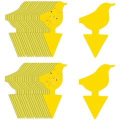 Kate's Home & Garden 36 Count Fruit Fly Traps yellow sticky traps front view