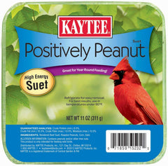 Kaytee Positively Peanut High Energy Suet 11 ounces front view