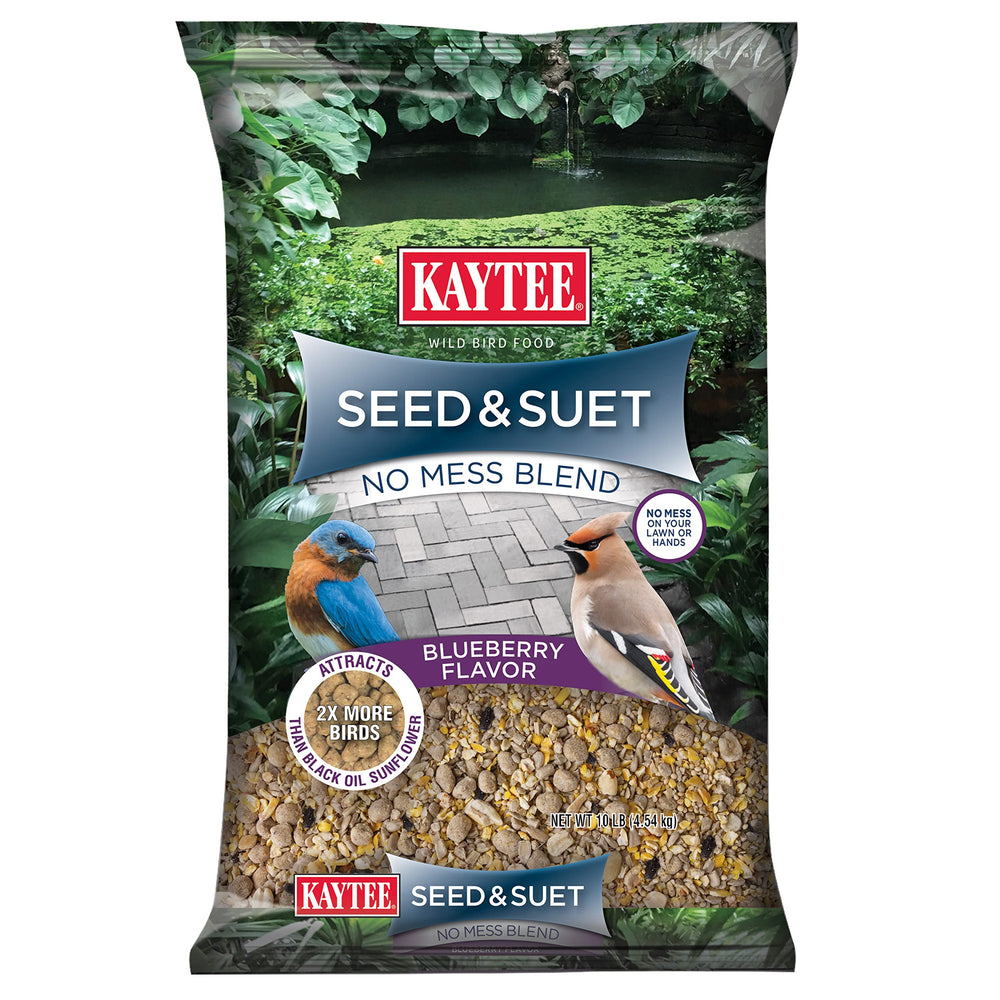 Kaytee Seed & Suet No Mess Blend 10 lbs front view with blueberries
