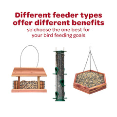 Kaytee Southern Regional Wild Bird Blend in a bird feeder