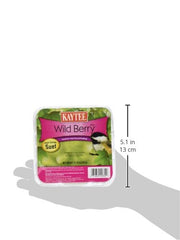 Kaytee Wild Berry Mini Suet in Kaytee Feeder station