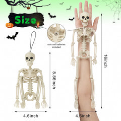 Kelool 16-inch skeleton posing in a garden
