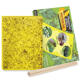 Kensizer 10-Pack Fruit Fly Trap yellow sticky gnat trap front view