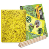 Kensizer 20-Pack Yellow Sticky Gnat Traps front view