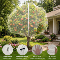 KEOHOLI fruit tree netting installation on an apple tree