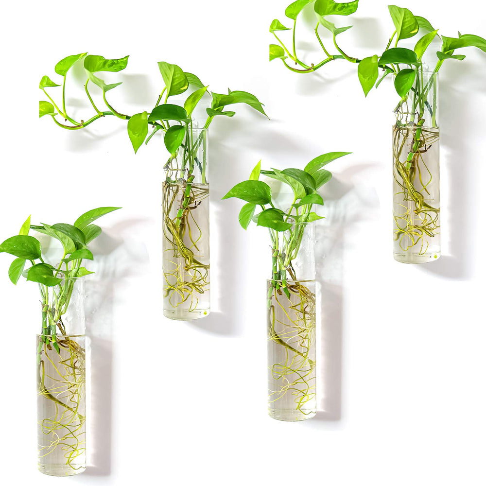 Kingbuy Wall-Mounted Plant Terrarium with 4 Glass Tubes