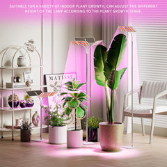 KINGPLUS Grow Light adjustable height feature