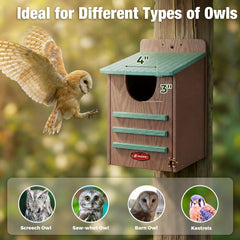 Kingsyard Owl House with screws and anchors included