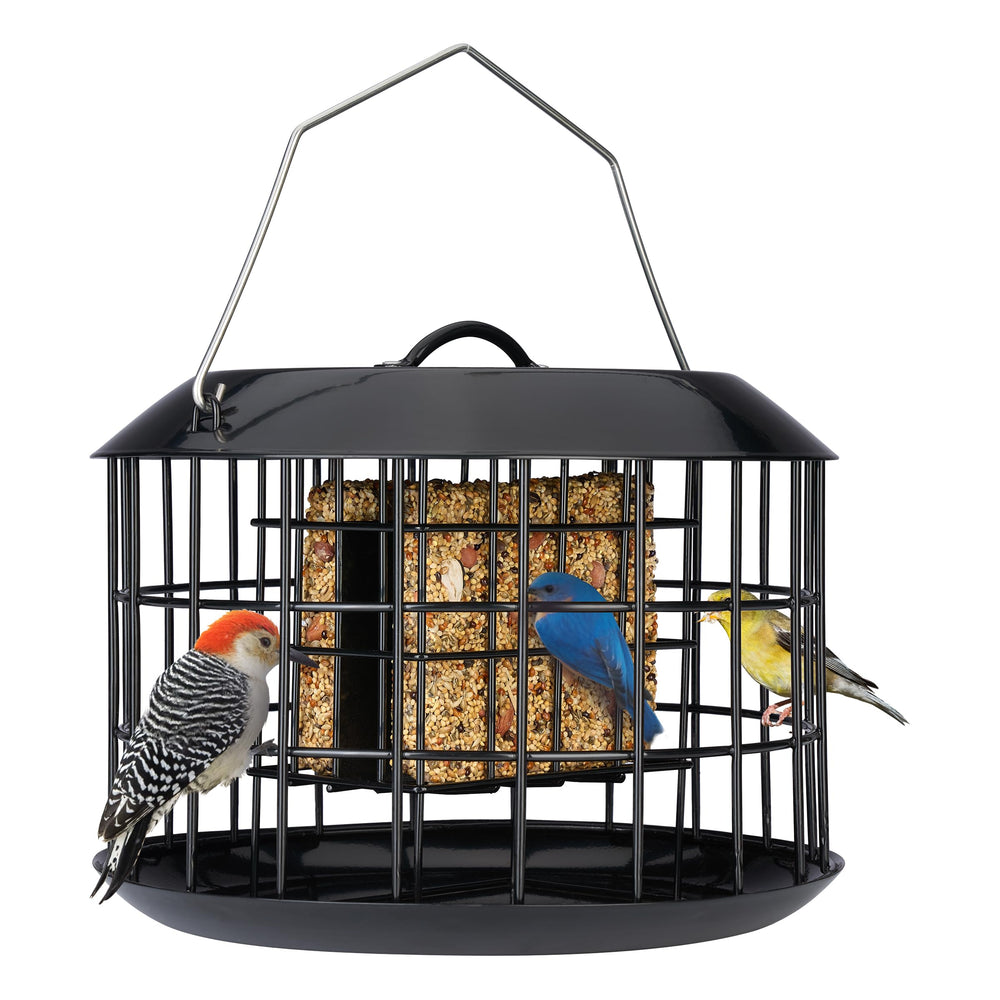 Kingsyard Squirrel Proof Suet Feeder front view, black metal