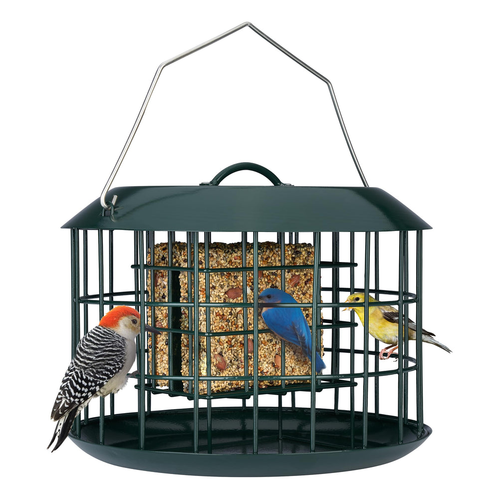 Kingsyard Squirrel Proof Suet Feeder front view in green