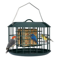 Kingsyard Squirrel Proof Suet Feeder front view in green