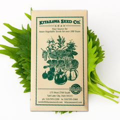 Kitazawa Seed Company Korean Perilla Seeds package front view