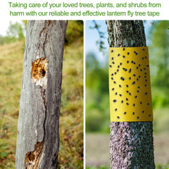 Kittmip Lantern Fly Tree Tape packaging with dimensions