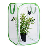 KraAra Insect & Butterfly Habitat Cage front view with mesh panels