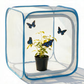 KraAra Insect & Butterfly Habitat Cage front view with mesh panels