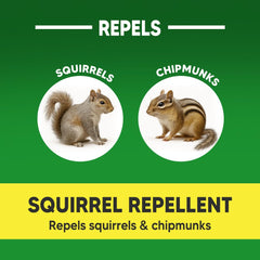 KsopoG Squirrel Repellent in garden setting