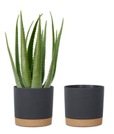 kubvici 10-inch black plant pot front view with saucer