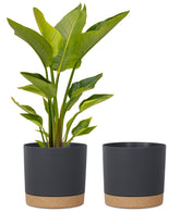 kubvici 12 Inch Black Plant Pot front view with saucer