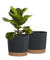 kubvici 8 inch black plant pot front view with drainage tray