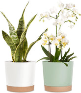 kubvici 8-inch green planter pot front view