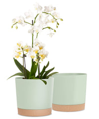 kubvici 8 inch indoor plant pot green with saucer front view