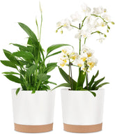 kubvici 8 Inch White Planter front view with tray
