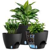 KUGAZ 12 inch self watering pot front view with water level indicator