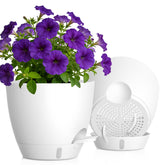 KUGAZ self watering pot with water level indicator, white