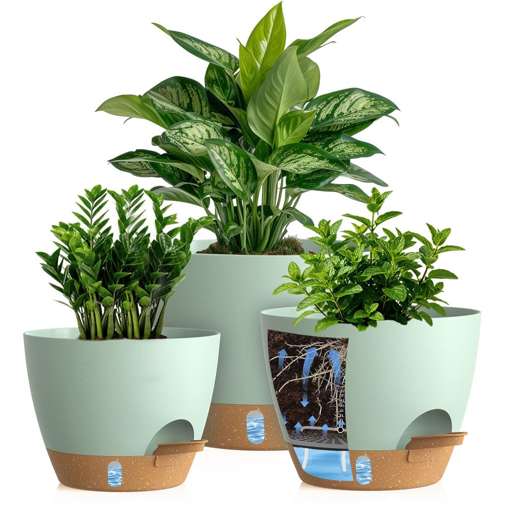 KUGAZ self watering pots 12 inch front view