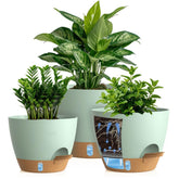 KUGAZ self watering pots 12 inch front view