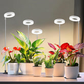 Kullsinss 3.5in grow light with detachable base on a tabletop
