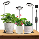 Kullsinss 3.5in Halo Plant Light front view with detachable base
