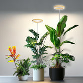 Kullsinss 6.3in grow light front view with faux wood grain design