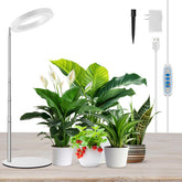 Kullsinss Grow Light for Indoor Plants, full view with white design