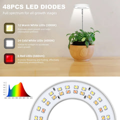 Kullsinss grow light in use with small indoor plants