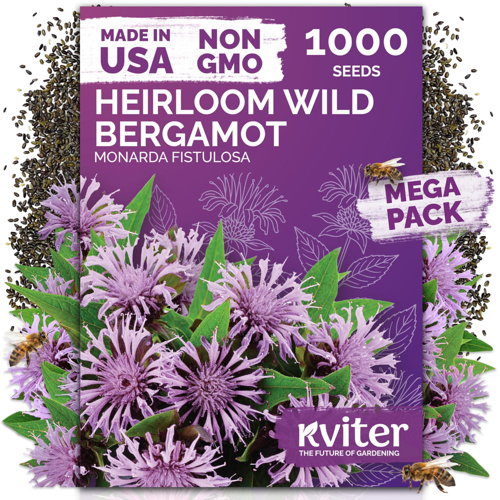 KVITER 1,000 Wild Bergamot Heirloom Flower Seeds front packaging view