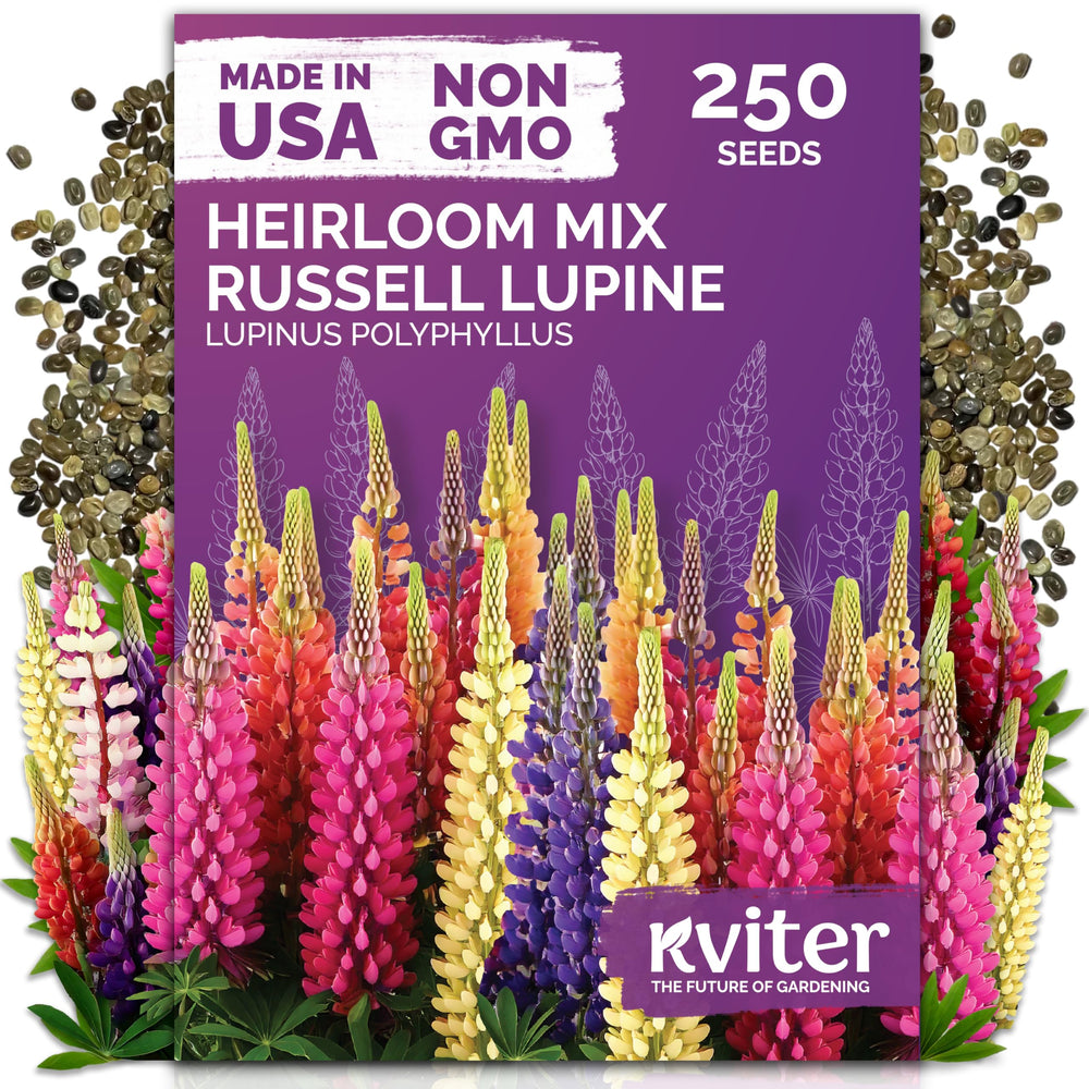 KVITER 250 Mix Russell Lupine Flower Seeds packaging front view