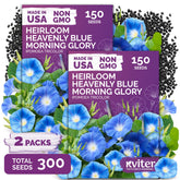 KVITER 300 Heavenly Blue Morning Glory Seeds package front view