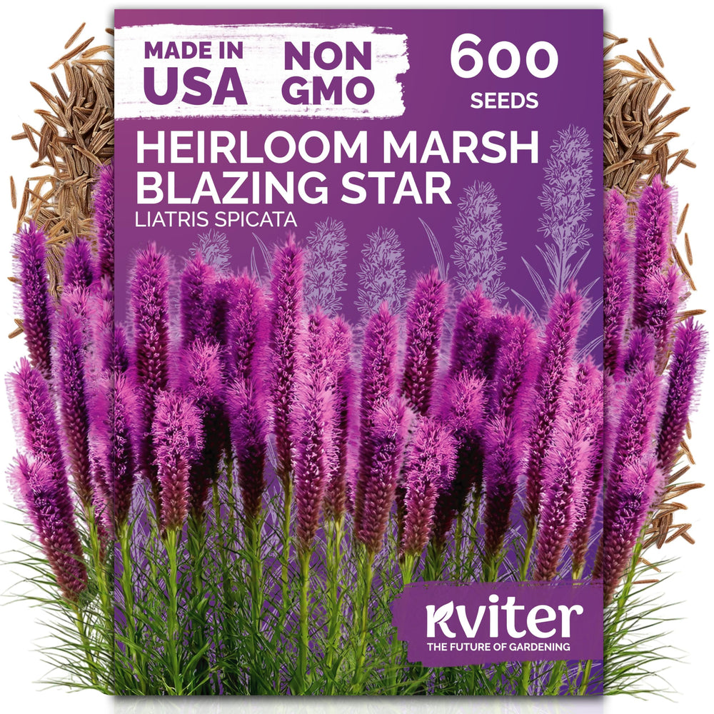 KVITER 600 Marsh Blazing Star Heirloom Flower Seeds package front view