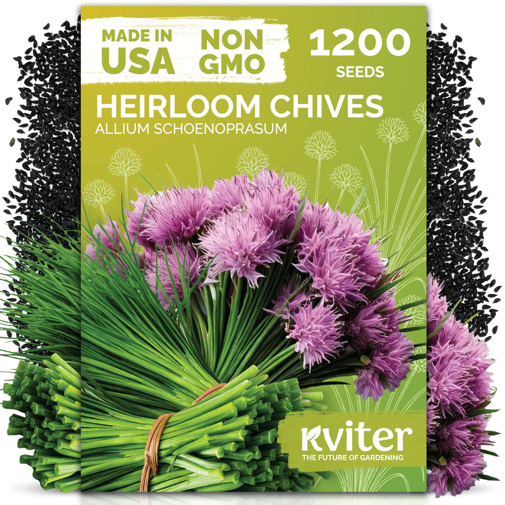 KVITER chive seeds package front view with 1,200 seeds