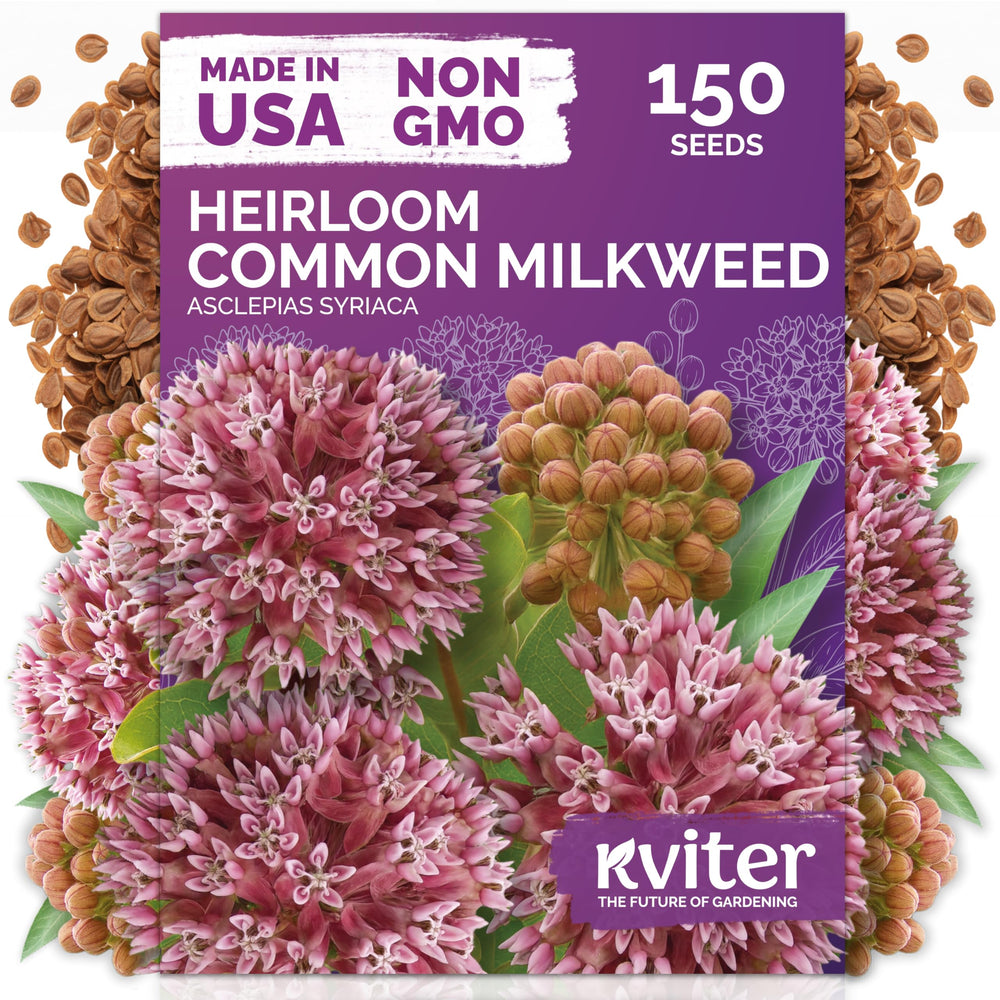 KVITER Common Milkweed Seeds packet front view