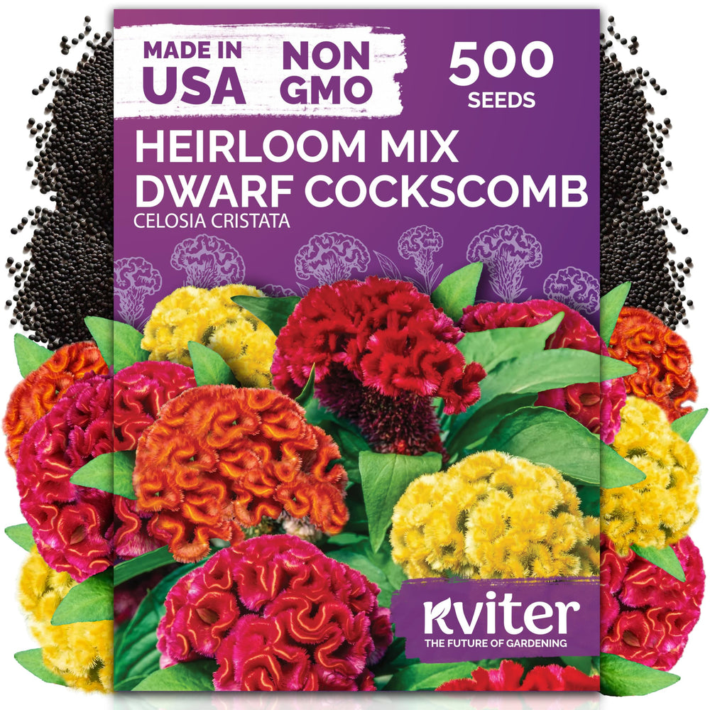 KVITER Dwarf Mix Cockscomb Flower Seeds packet front view