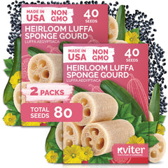 KVITER Luffa Heirloom Vegetable Seeds 80 pack front view