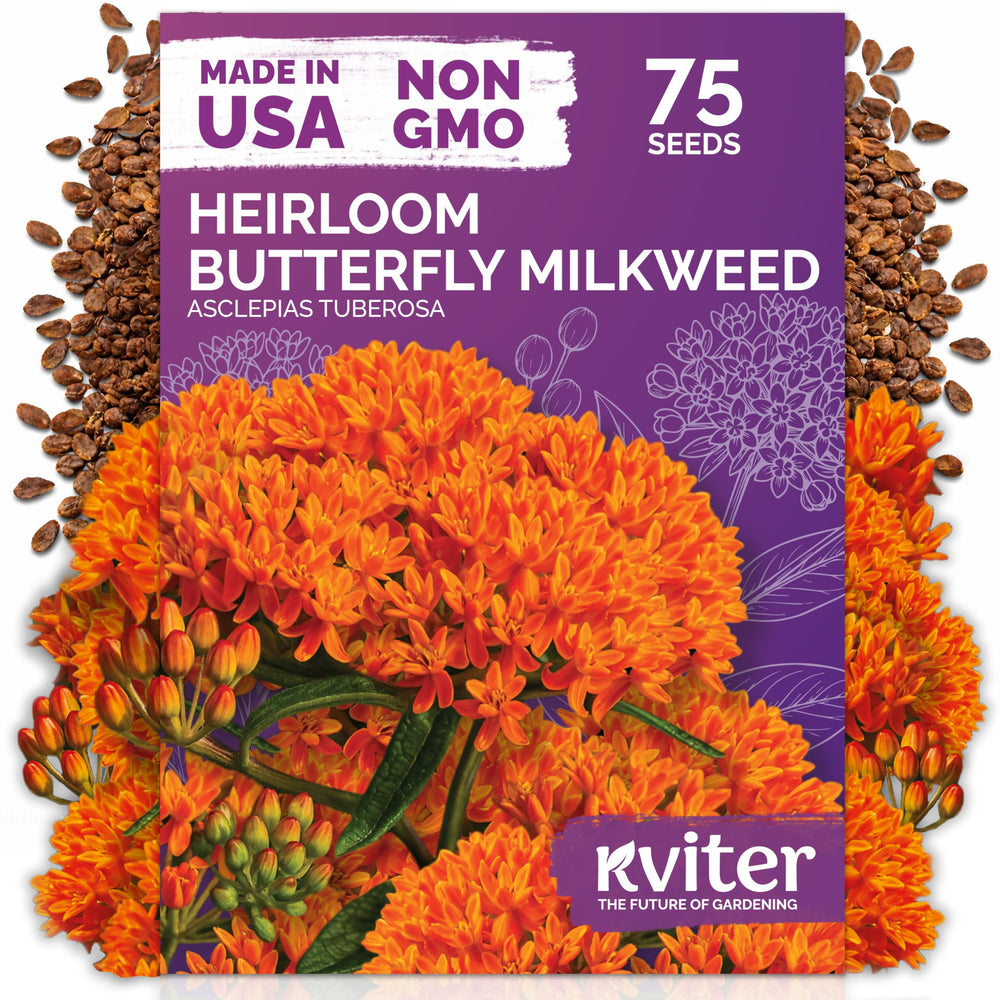 KVITER Orange Butterfly Milkweed Seeds package front view