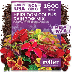 KVITER Rainbow Coleus Flower Seeds Mix packaging front view