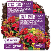 KVITER Rainbow Coleus Mix Seeds packaging front view
