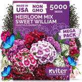 KVITER Sweet William Heirloom Flower Seeds pack front view