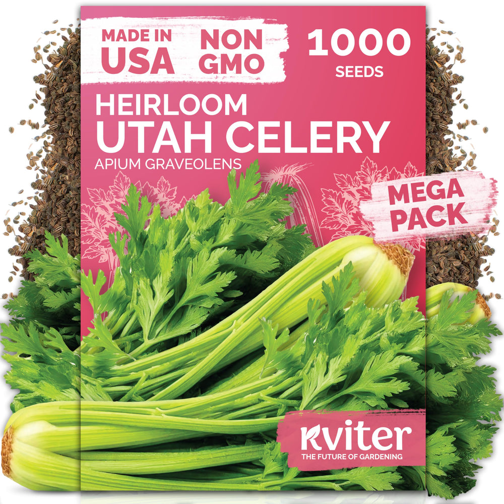 KVITER Tall Utah Celery Heirloom Seeds packaging front view