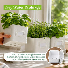 label cards included with volila herb planter set