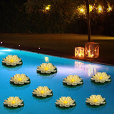 LACGO 24 PCS floating lotus lights in warm white, floating on water
